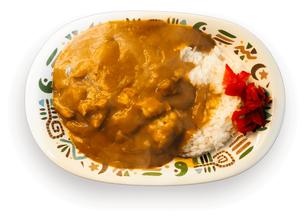 ポークカレーライス
